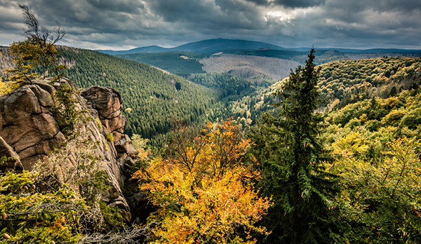 Weitblick über herbstlich gefärbte Waldlandschaft mit Felsen im Vordergrund, dichten Baumkronen und bewölktem Himmel im Hintergrund